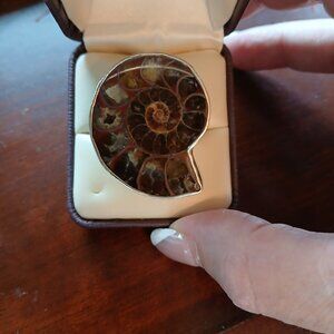 Sterling Silver 925 - Ammonite Fossil Ring
